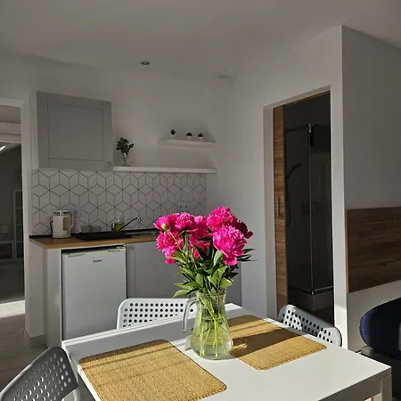 Polna - Ogrod - Taras-balkon - Spokoj Z Dala Od Tlumow * Sarbinowo