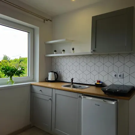 Polna - Ogrod - Taras-balkon - Spokoj Z Dala Od Tlumow Sarbinowo