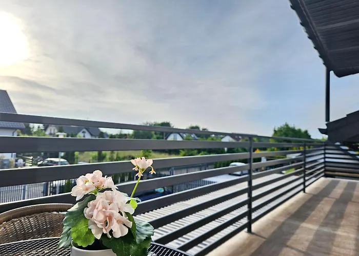 Polna - Ogrod - Taras - Spokoj Z Dala Od Tlumow ساربينوفو