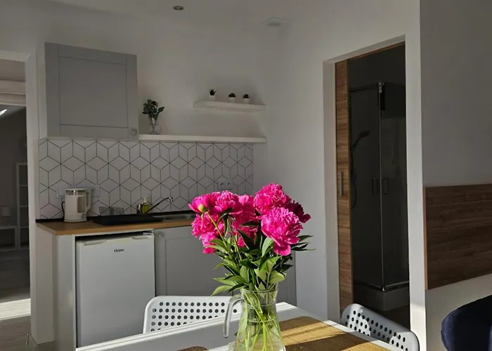 Polna - Ogrod - Taras - Spokoj Z Dala Od Tlumow * ساربينوفو